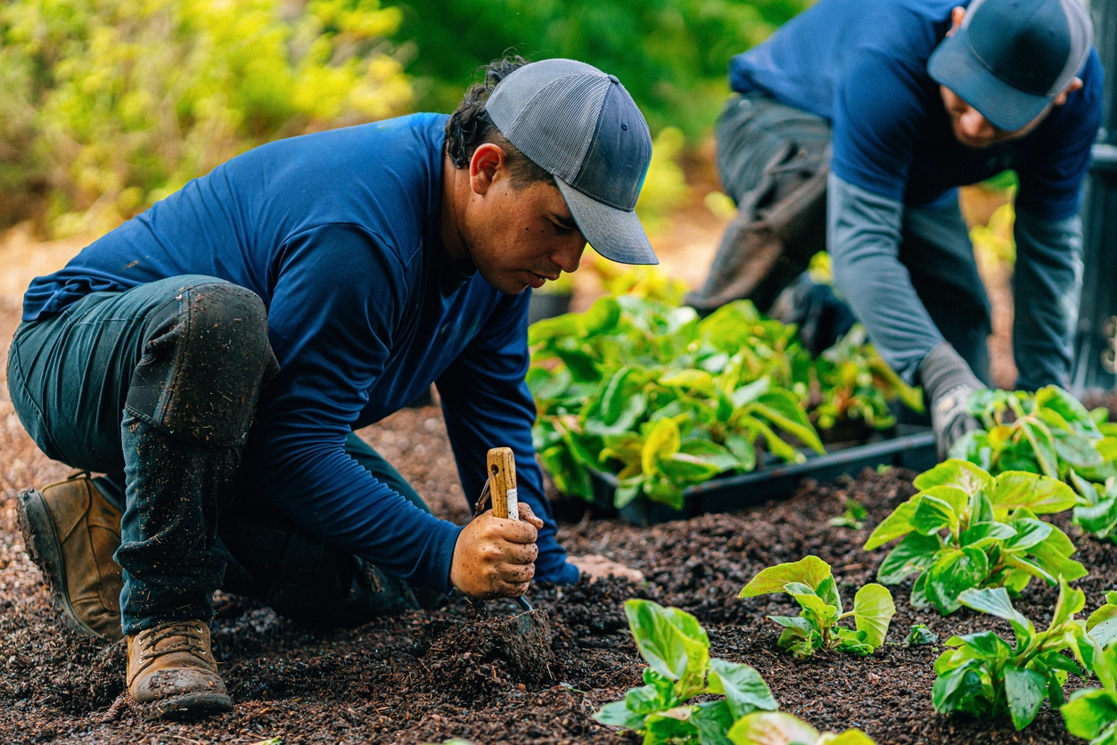 Landscaping and Exterior Services